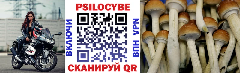 Галлюциногенные грибы мицелий  Ковров 
